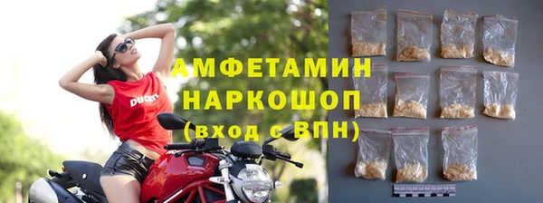молекула духа Надым