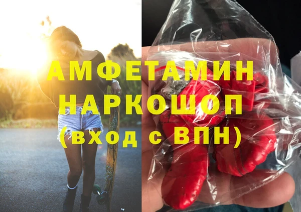 молекула духа Надым