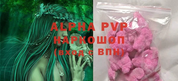 молекула духа Надым