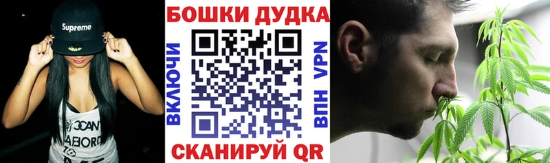 Марихуана сатива Щёкино